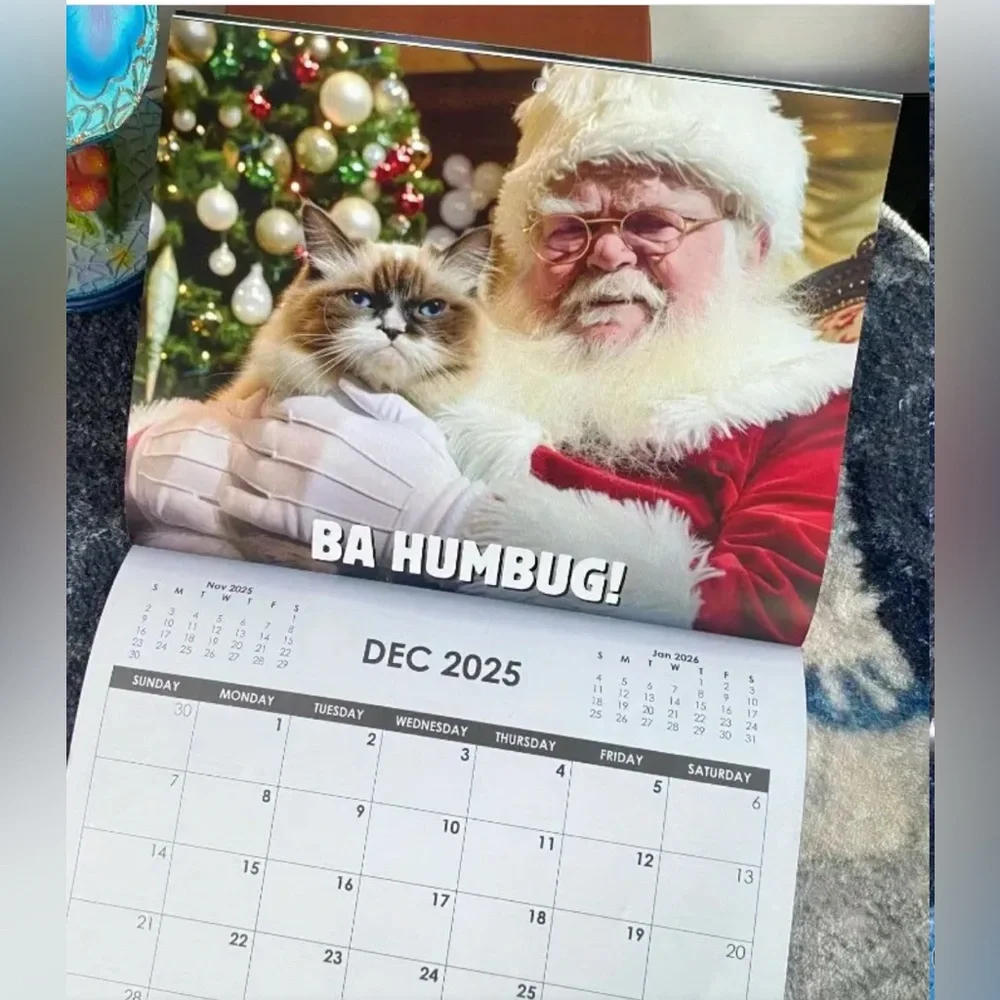 Pissed-Off Cats 2025 Calendar